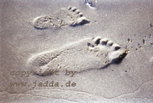 Vater und Sohn an der K�ste Schwedens
