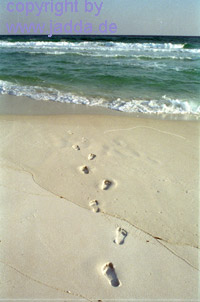 Strand Mexikanischer Golf - Florida - USA