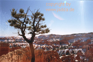 Bryce-Canyon