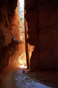 Bryce Canyon - USA