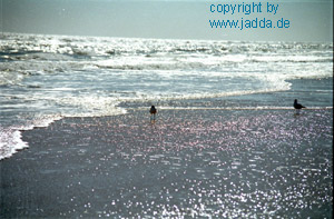 Daytona Beach
